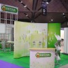 Fespa Asia 2011 - 1