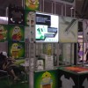 Fespa Asia 2011 - 6